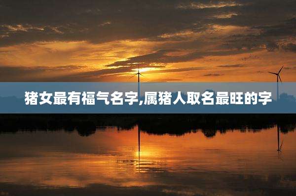 猪女最有福气名字,属猪人取名最旺的字