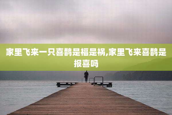 家里飞来一只喜鹊是福是祸,家里飞来喜鹊是报喜吗
