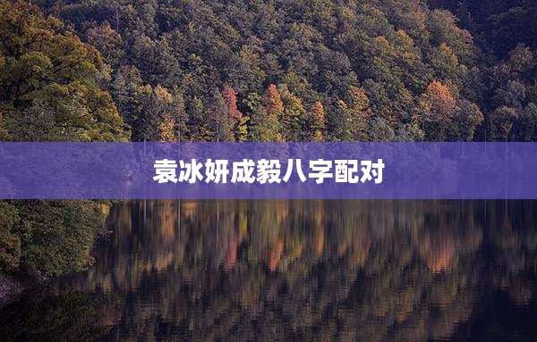 袁冰妍成毅八字配对