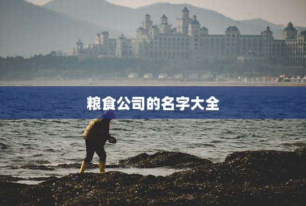 粮食公司的名字大全