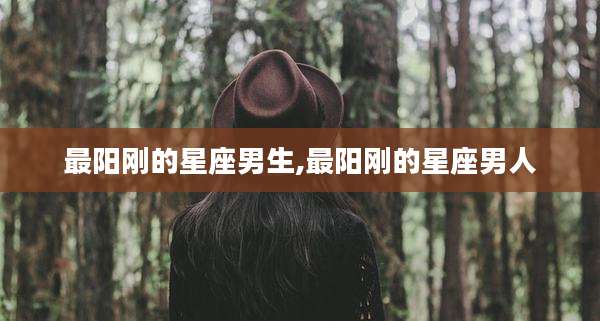 最阳刚的星座男生,最阳刚的星座男人