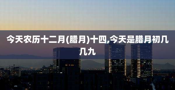今天农历十二月(腊月)十四,今天是腊月初几几九