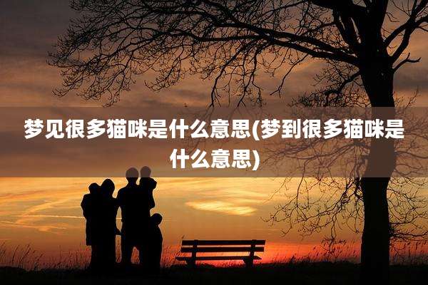 梦见很多猫咪是什么意思(梦到很多猫咪是什么意思)