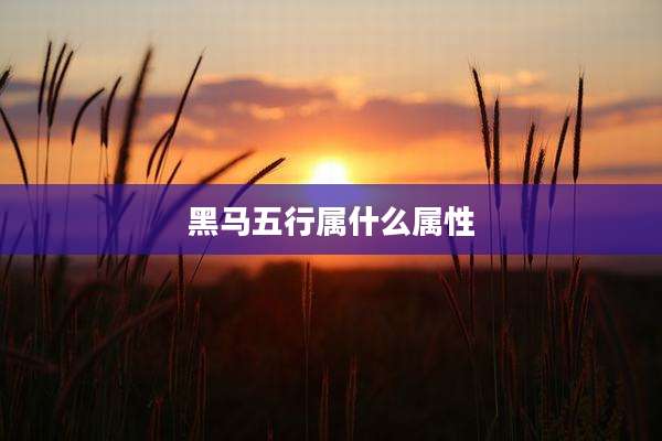 黑马五行属什么属性