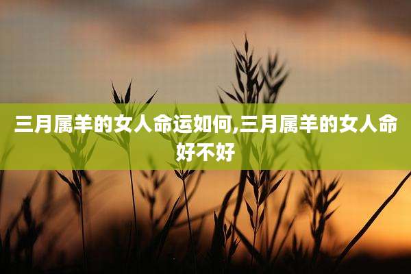 三月属羊的女人命运如何,三月属羊的女人命好不好