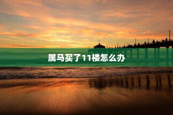 属马买了11楼怎么办