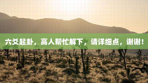六爻起卦,高人帮忙解下,请详细点,谢谢!