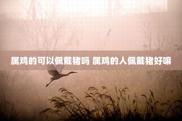 属鸡的可以佩戴猪吗 属鸡的人佩戴猪好嘛