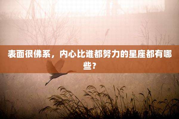 表面很佛系,内心比谁都努力的星座都有哪些?