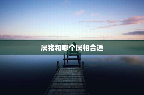 属猪和哪个属相合适
