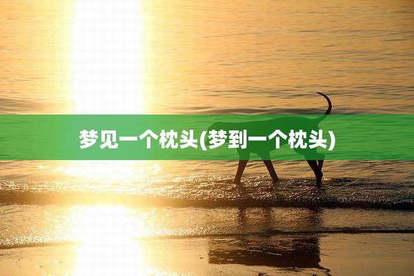 梦见一个枕头(梦到一个枕头)