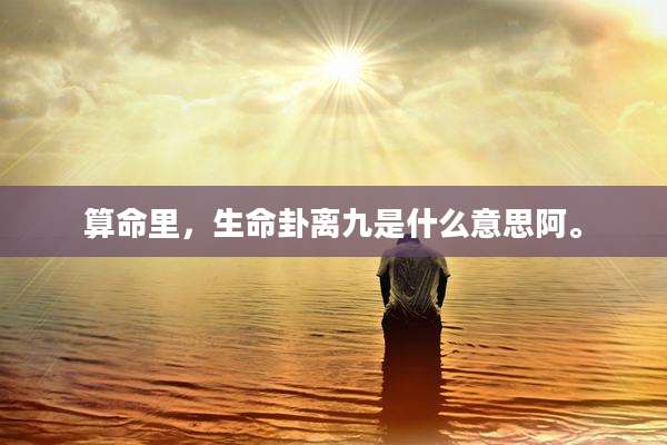 算命里，生命卦离九是什么意思阿。