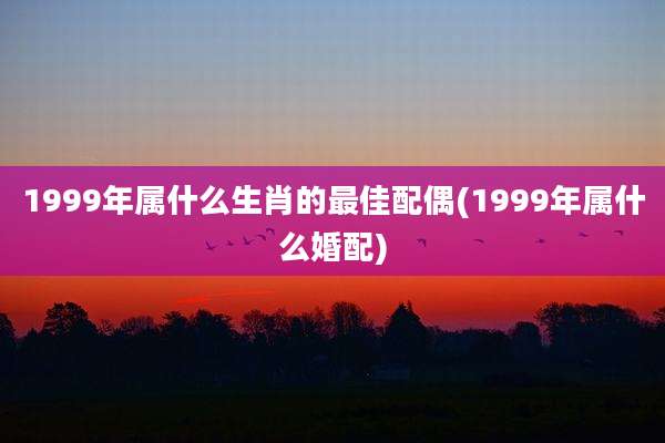 1999年属什么生肖的最佳配偶(1999年属什么婚配)