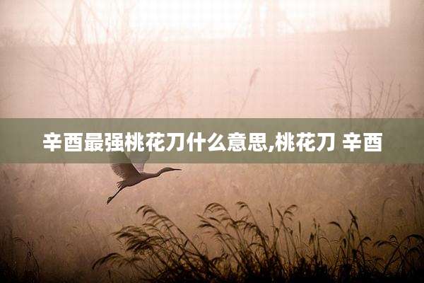 辛酉最强桃花刀什么意思,桃花刀 辛酉