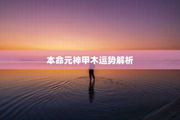 本命元神甲木运势解析