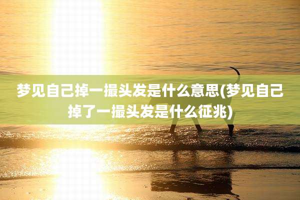 梦见自己掉一撮头发是什么意思(梦见自己掉了一撮头发是什么征兆)