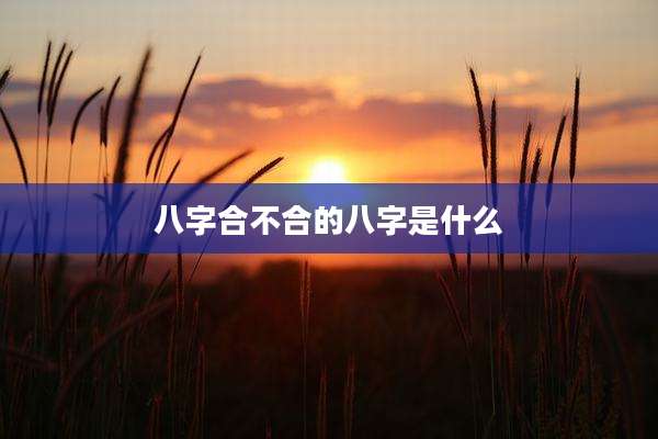 八字合不合的八字是什么