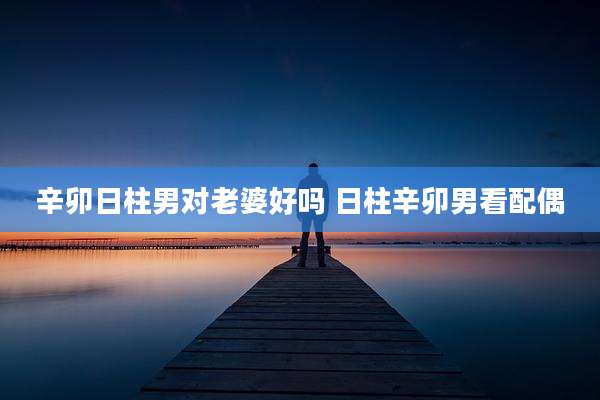 辛卯日柱男对老婆好吗 日柱辛卯男看配偶