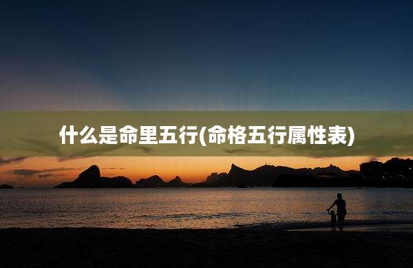 什么是命里五行(命格五行属性表)