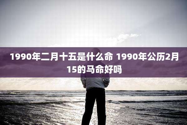1990年二月十五是什么命 1990年公历2月15的马命好吗