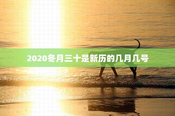 2020冬月三十是新历的几月几号