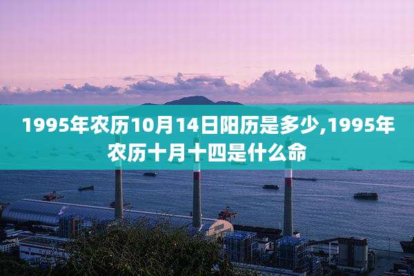 1995年农历10月14日阳历是多少,1995年农历十月十四是什么命