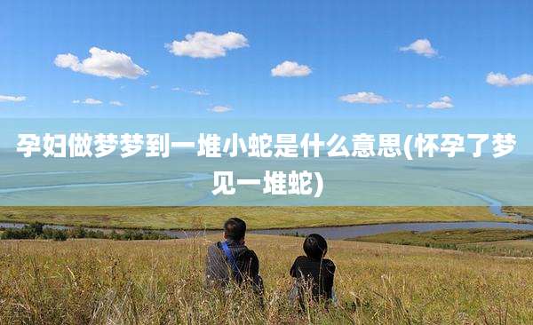 孕妇做梦梦到一堆小蛇是什么意思(怀孕了梦见一堆蛇)