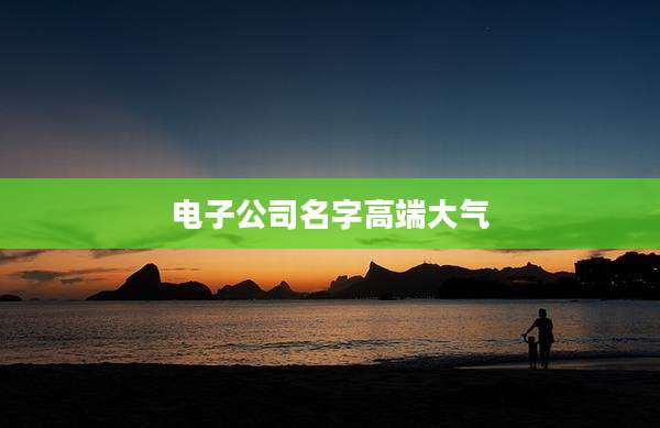 电子公司名字高端大气