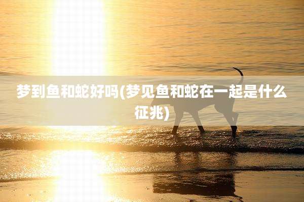 梦到鱼和蛇好吗(梦见鱼和蛇在一起是什么征兆)