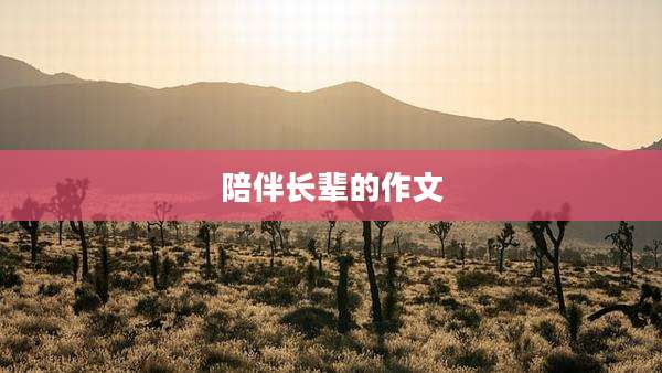 陪伴长辈的作文