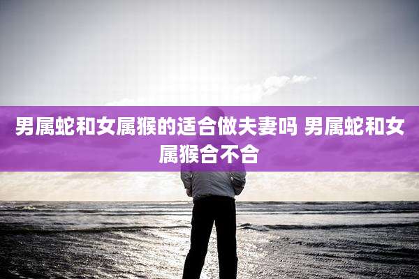 男属蛇和女属猴的适合做夫妻吗 男属蛇和女属猴合不合