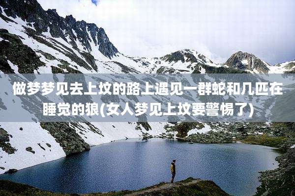 做梦梦见去上坟的路上遇见一群蛇和几匹在睡觉的狼(女人梦见上坟要警惕了)