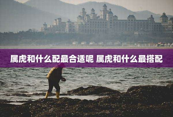 属虎和什么配最合适呢 属虎和什么最搭配