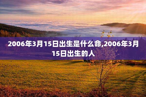 2006年3月15日出生是什么命,2006年3月15日出生的人