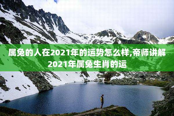 属兔的人在2021年的运势怎么样,帝师讲解2021年属兔生肖的运