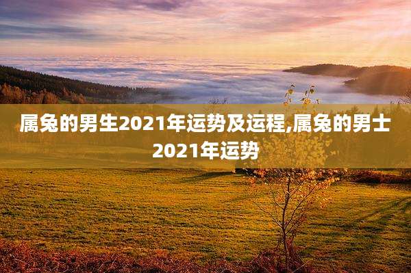 属兔的男生2021年运势及运程,属兔的男士2021年运势