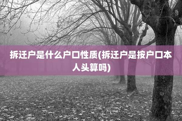 拆迁户是什么户口性质(拆迁户是按户口本人头算吗)