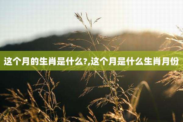 这个月的生肖是什么?,这个月是什么生肖月份