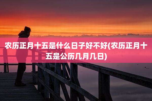 农历正月十五是什么日子好不好(农历正月十五是公历几月几日)