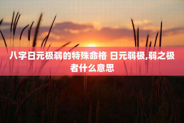 八字日元极弱的特殊命格 日元弱极,弱之极者什么意思
