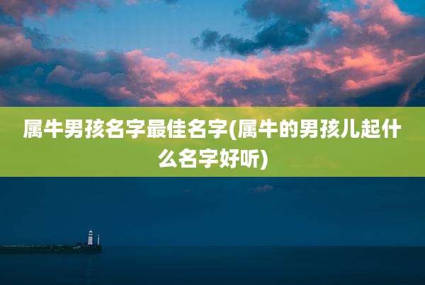 属牛男孩名字最佳名字(属牛的男孩儿起什么名字好听)