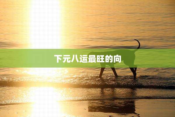 下元八运最旺的向