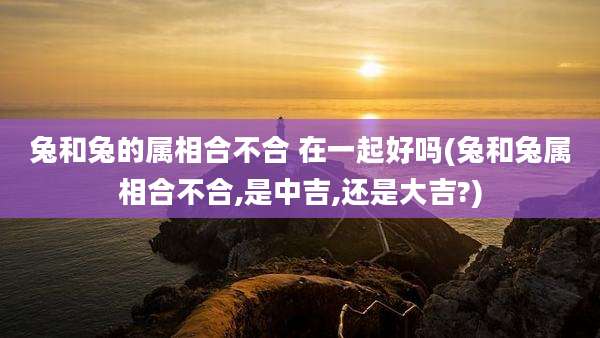 兔和兔的属相合不合 在一起好吗(兔和兔属相合不合,是中吉,还是大吉?)