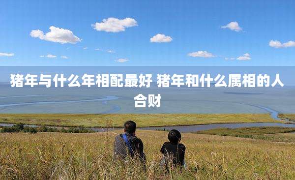 猪年与什么年相配最好 猪年和什么属相的人合财