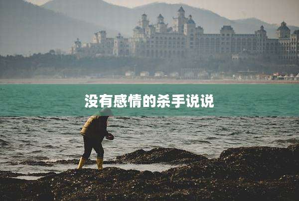 没有感情的杀手说说