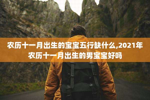 农历十一月出生的宝宝五行缺什么,2021年农历十一月出生的男宝宝好吗