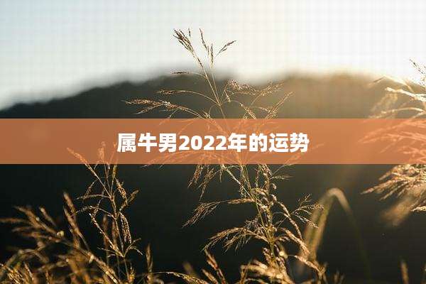 属牛男2022年的运势