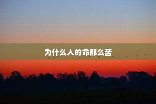 为什么人的命那么苦
