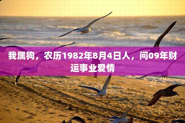 我属狗，农历1982年8月4日人，问09年财运事业爱情