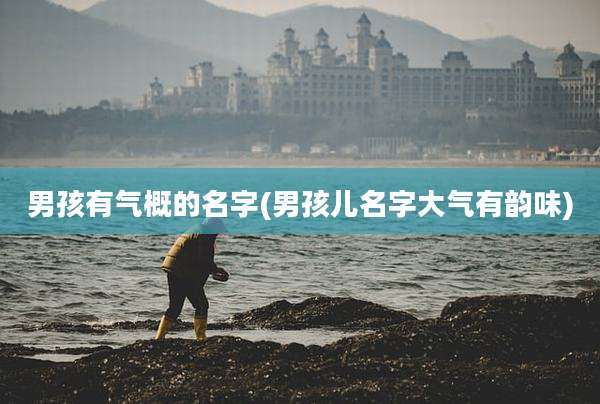男孩有气概的名字(男孩儿名字大气有韵味)